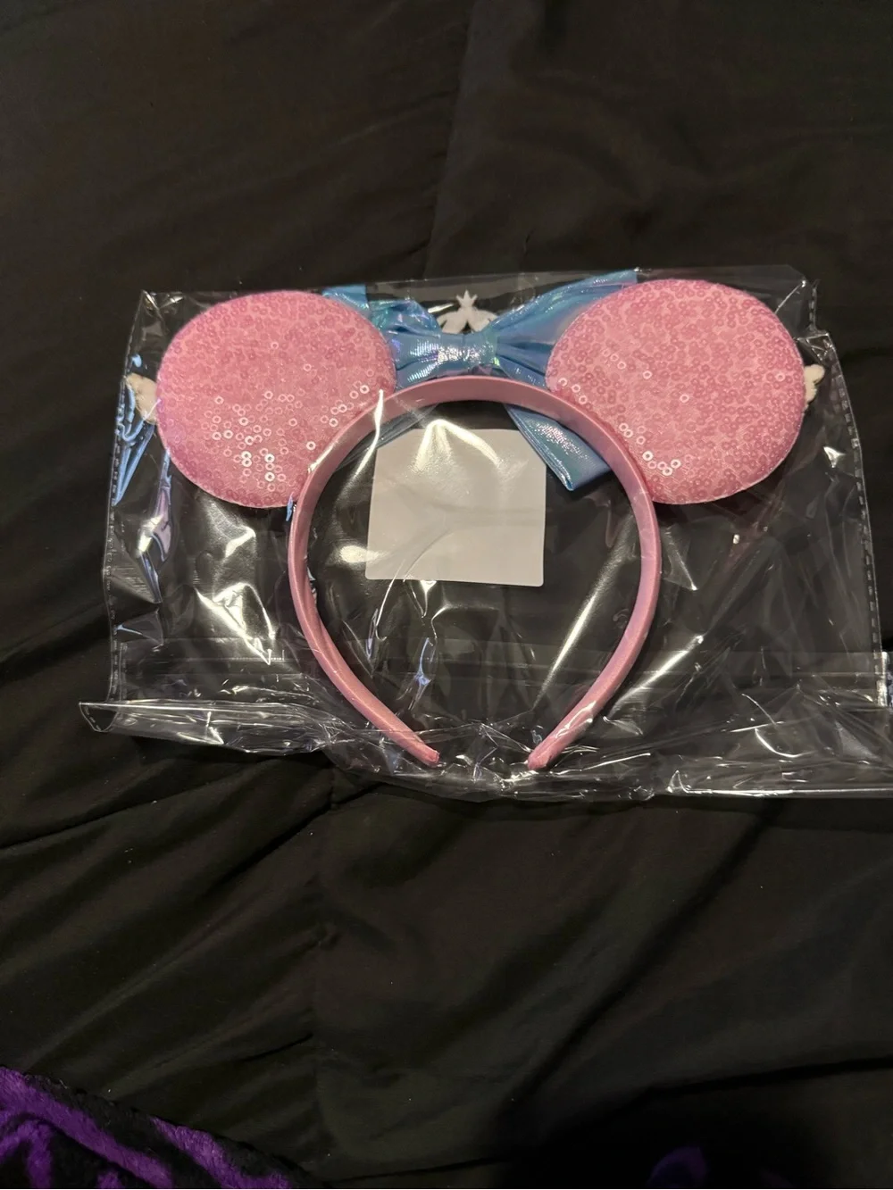 Cinderella Mickey Ears